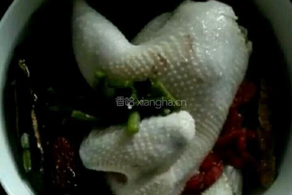 石斛灵芝花旗参炖鸡的做法图解6
