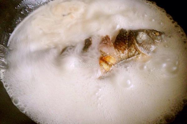 鲫鱼豆腐奶汤的做法图解6