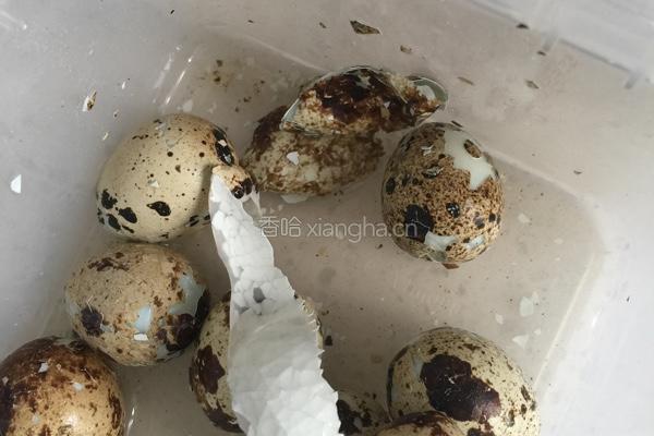 生活小窍门:巧扒鹌鹑蛋的做法图解5