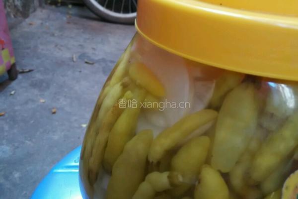 酸萝卜的做法图解4
