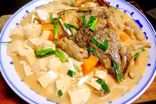 鮸鱼头炖豆腐的做法图解10