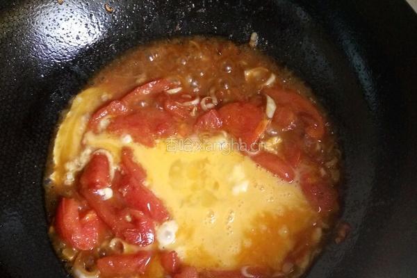 懒人版西红柿炒蛋的做法图解4