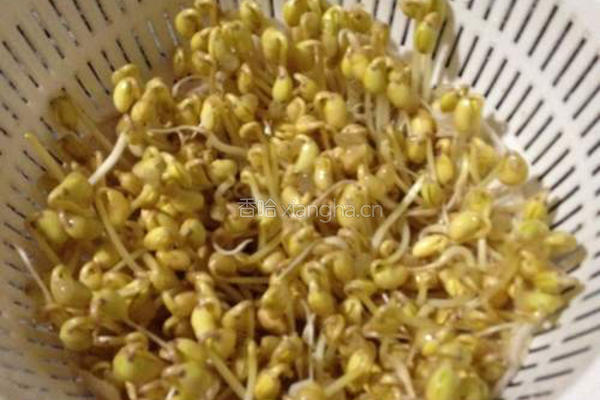 干煸黄豆芽(自发豆芽)的做法图解4