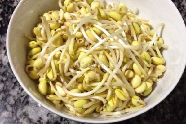 干煸黄豆芽(自发豆芽)的做法图解5