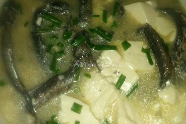 跳跳鱼烧豆腐的做法图解10