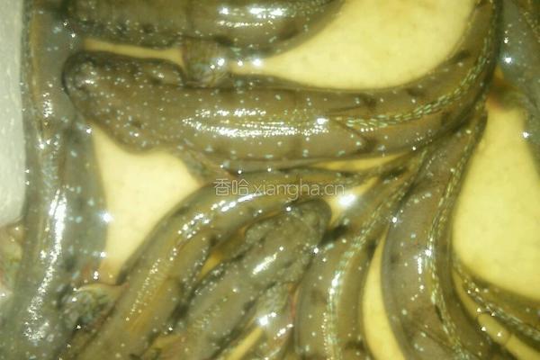 跳跳鱼烧豆腐的做法图解1