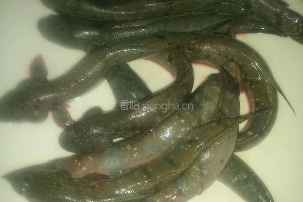 跳跳鱼烧豆腐的做法图解2