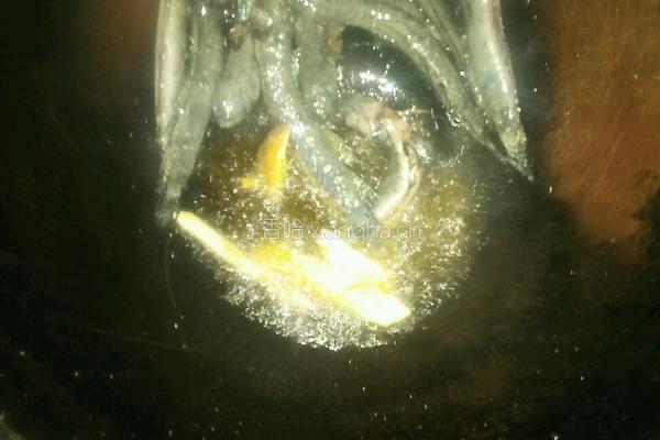 跳跳鱼烧豆腐的做法图解6