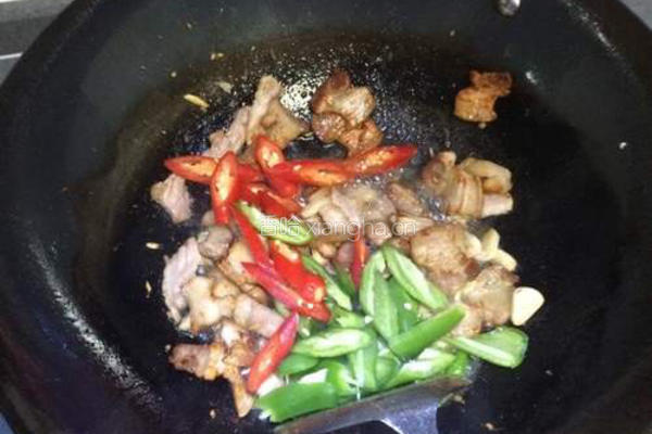 农家小炒肉的做法图解7