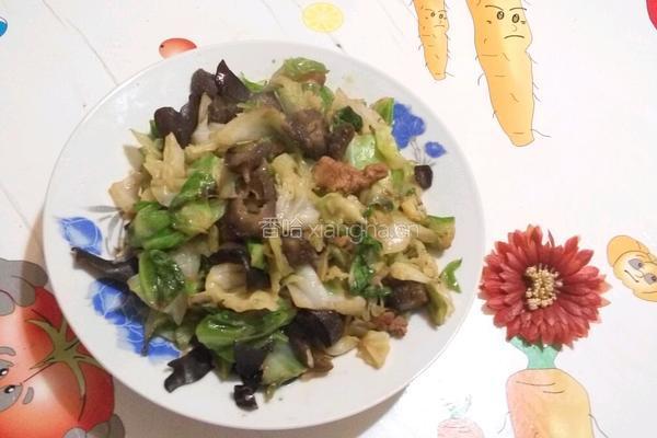 家常海参（卷心菜肉片海参）的做法图解9