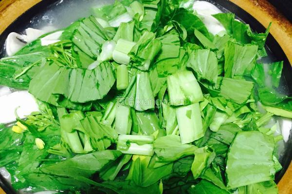 口蘑烧菜心的做法图解9