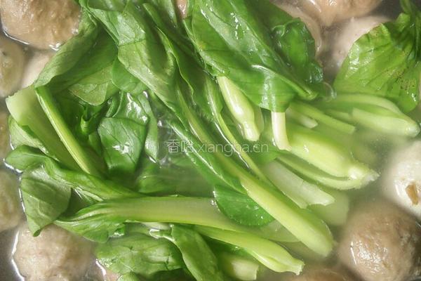 青菜肉丸汤的做法图解4