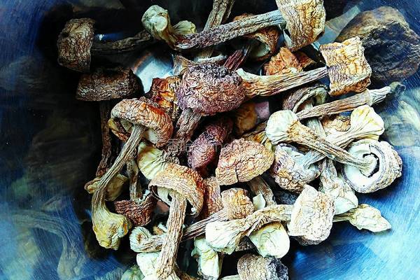 姬松茸煲排骨的做法图解3