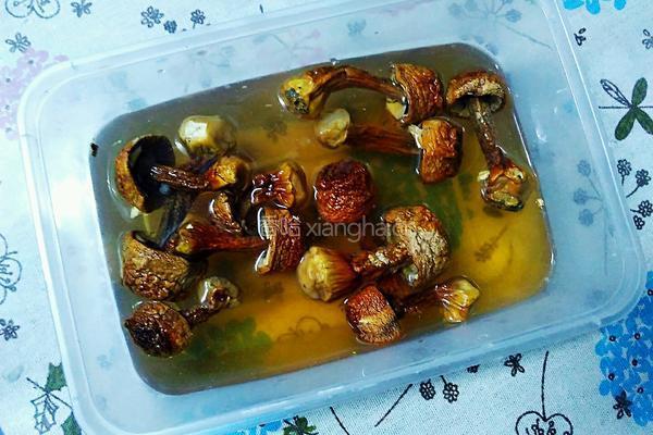 姬松茸煲排骨的做法图解4