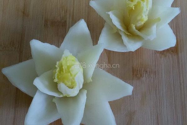 白菜莲花粉丝汤的做法图解9