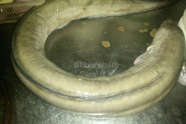 包腌海鳗的做法图解1