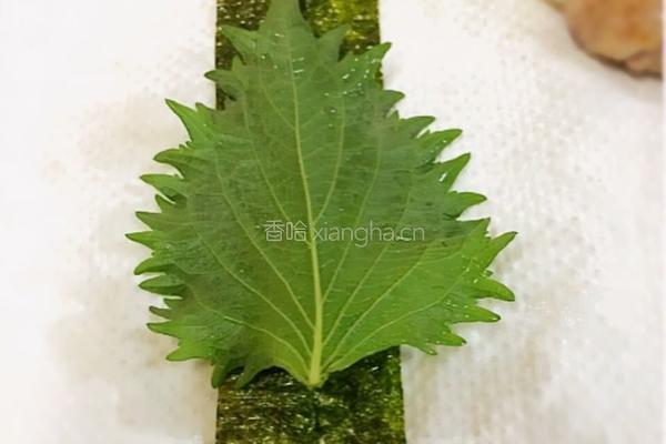 紫苏五花肉包豆腐的做法图解7