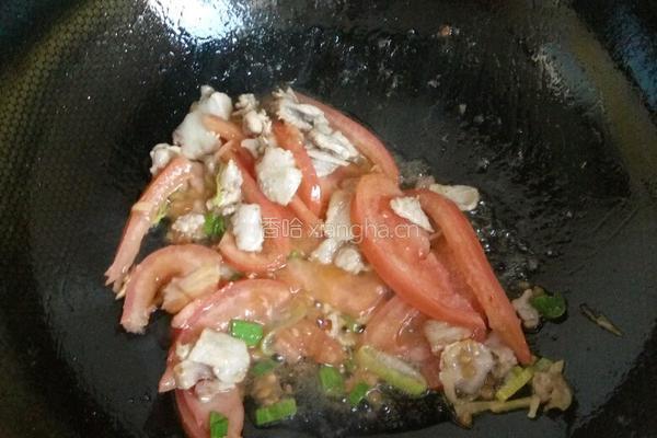 甘蓝炒肉的做法图解4