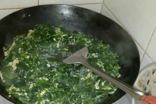 菠菜水鸡蛋（酸菠菜）的做法图解5
