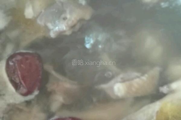 红枣板栗鸡汤的做法图解8