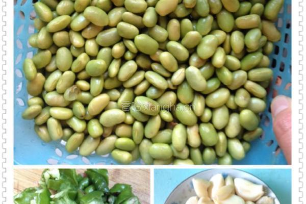 毛豆烧鸡的做法图解2