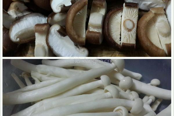 蚝油双菇肉片的做法图解2