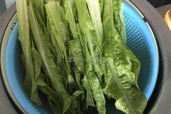 爆炒莴笋叶的做法图解1