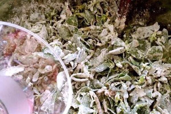 马齿苋馍馍的做法图解9