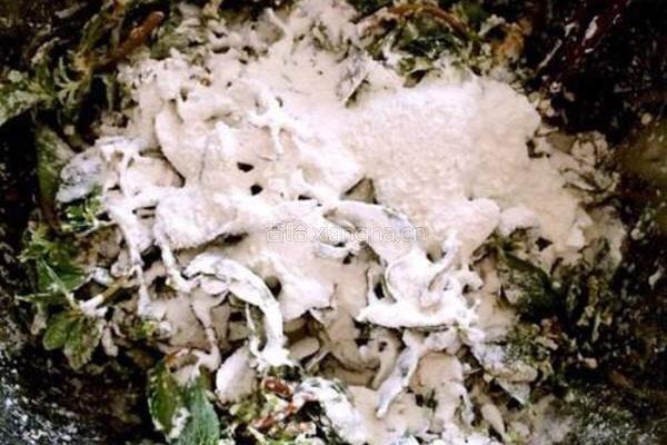 马齿苋馍馍的做法图解10
