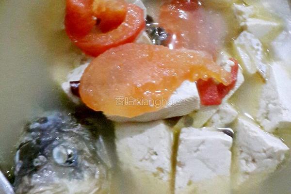 鲫鱼豆腐汤。