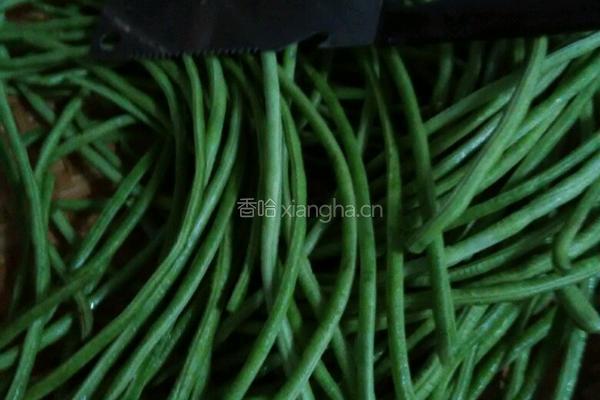 泡豇豆的做法图解1