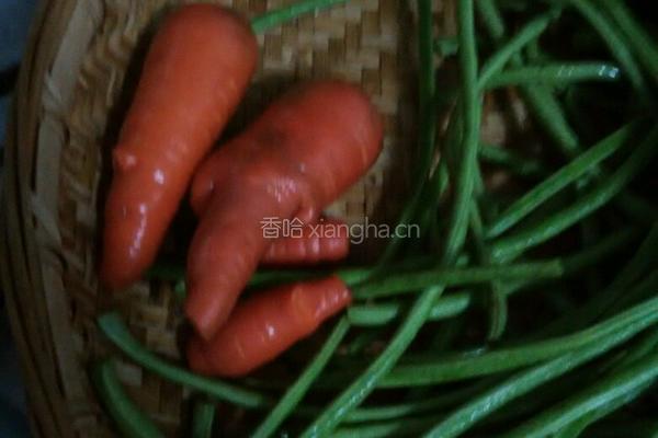 泡豇豆的做法图解2