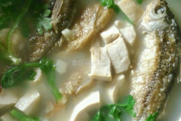 鲫鱼豆腐汤的做法图解3