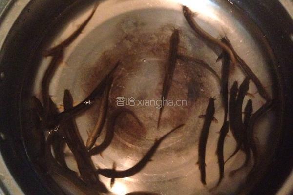 泥鳅面条的做法图解1