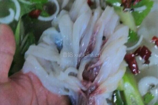 自制松鼠鱼的做法图解1