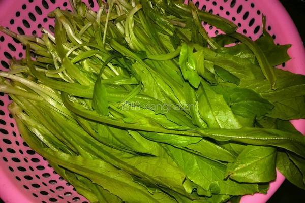 炒油麦菜的做法图解1