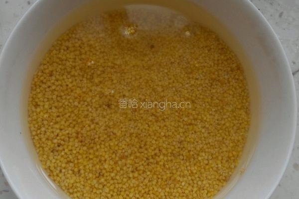 小米排骨的做法图解2