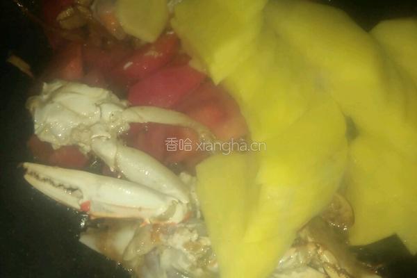 罗宋汤的做法图解6