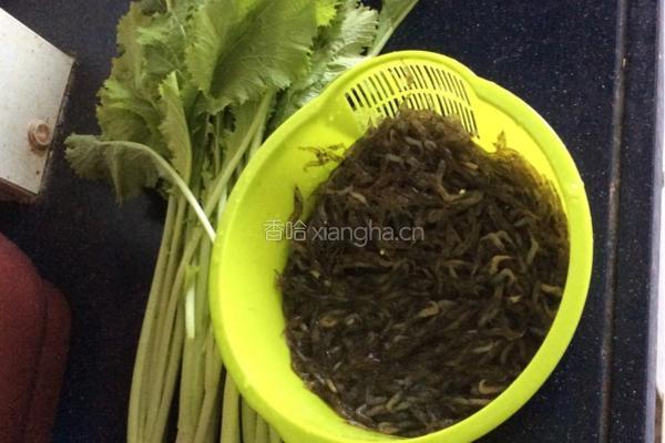 雪里蕻炒鲜河虾的做法图解1