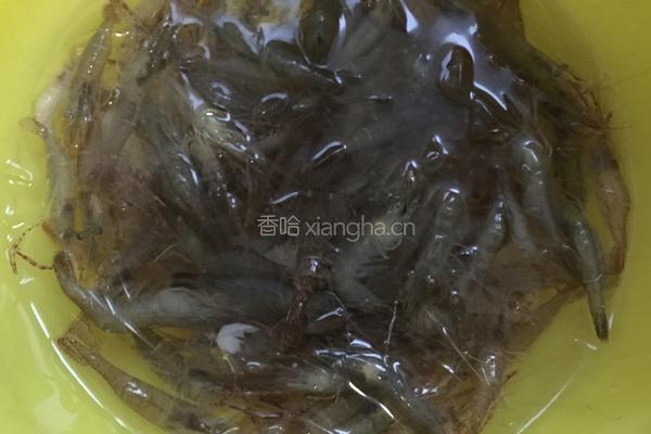醉虾的做法图解1
