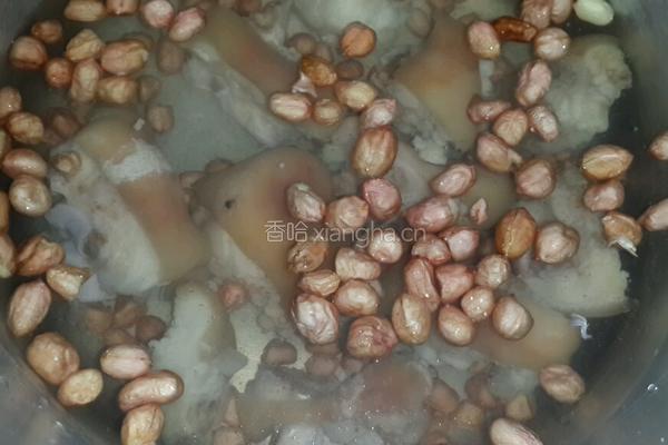 猪蹄花生汤的做法图解3
