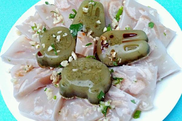 双色肉皮冻的做法图解8