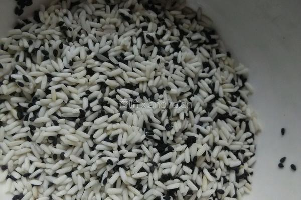 黑芝麻糊的做法图解2