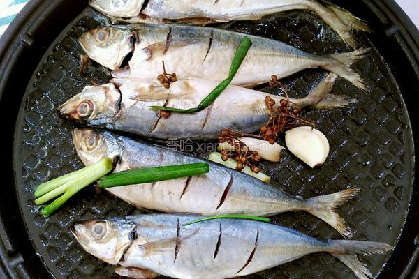 电饼铛烤鱼的做法图解9