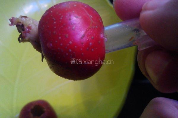 山楂糕的做法图解2