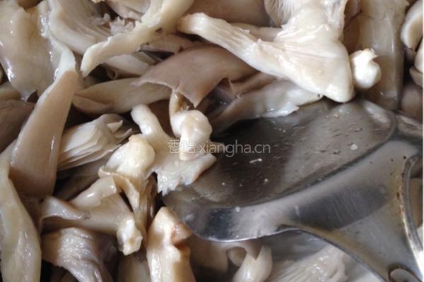 虾仁平菇豆腐煲的做法图解5