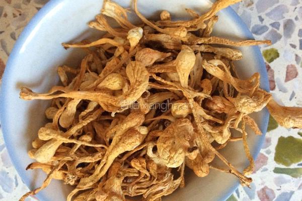 猪骨煲北虫草的做法图解3