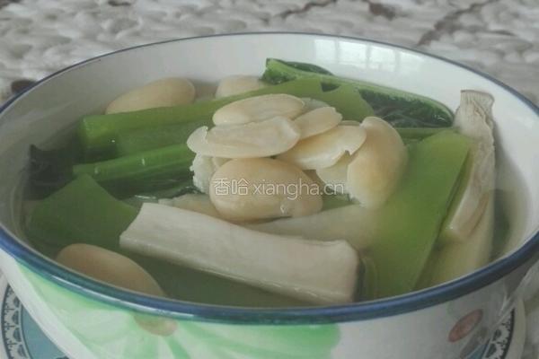 鸡腿菇莴笋芸豆汤的做法图解14