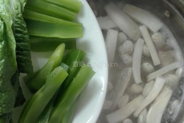 鸡腿菇莴笋芸豆汤的做法图解10
