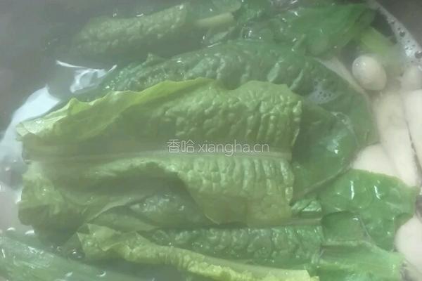 鸡腿菇莴笋芸豆汤的做法图解13
